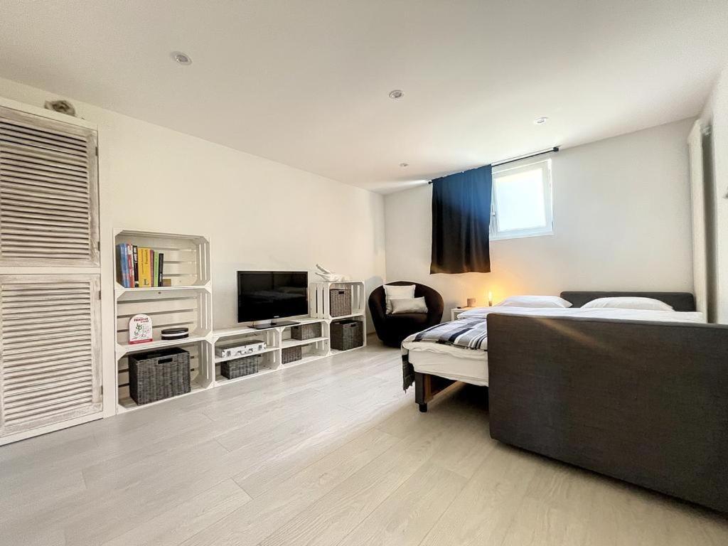 Appartement Moderne Avec Terrasse Et Piscine A Chatel Sur Bex Εξωτερικό φωτογραφία